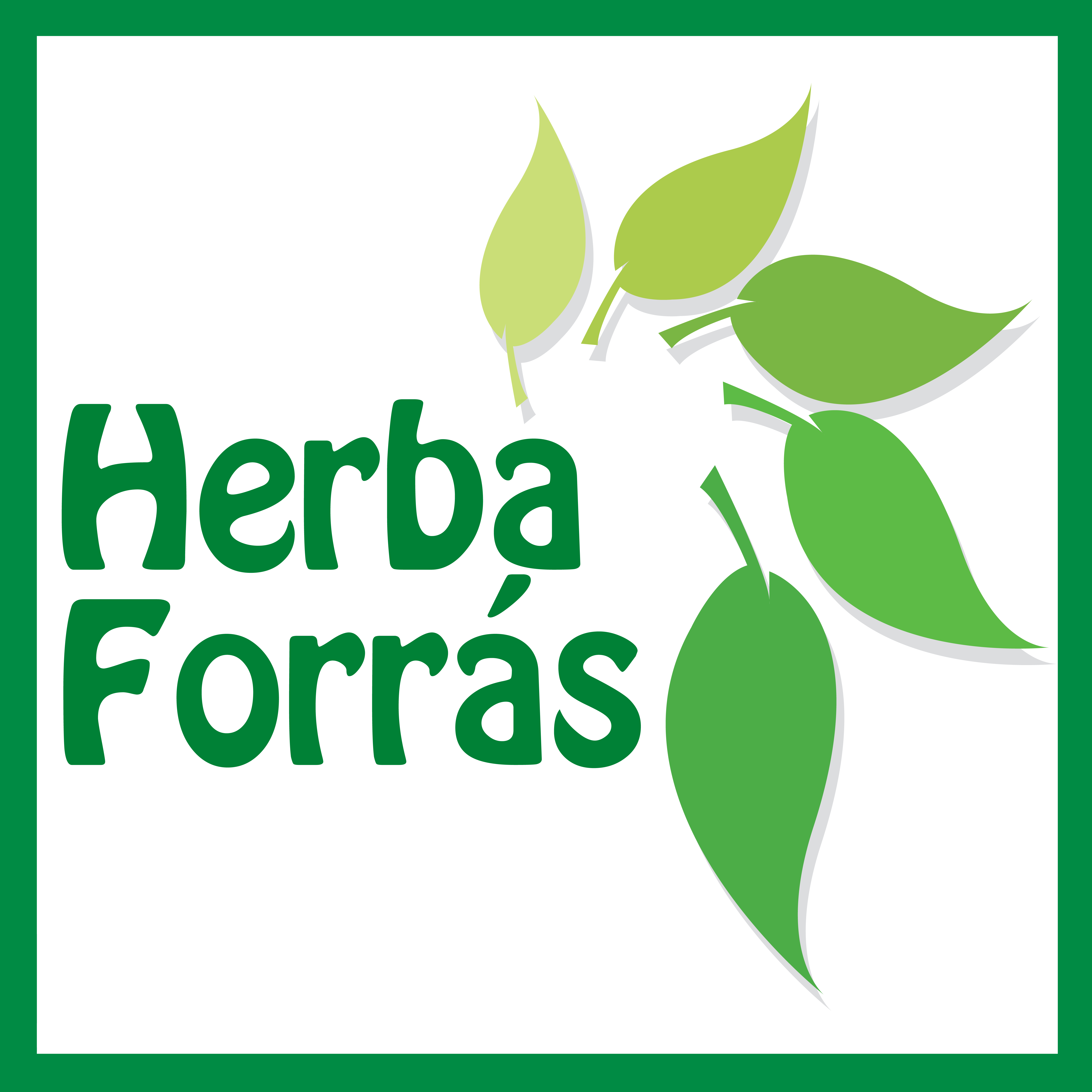 HerbaForras50 50 Logo