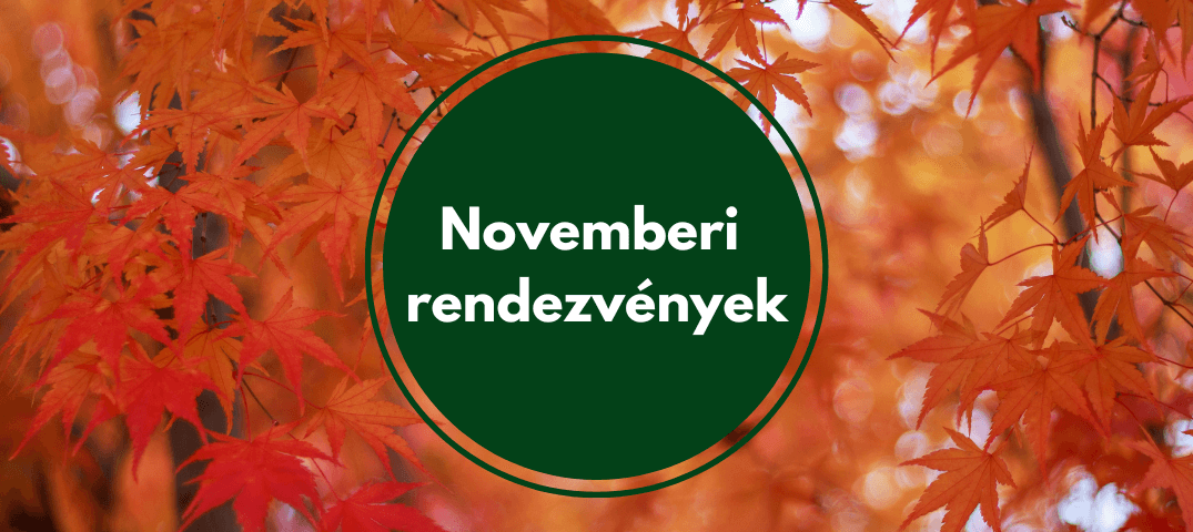 Novemberi Rendezvények