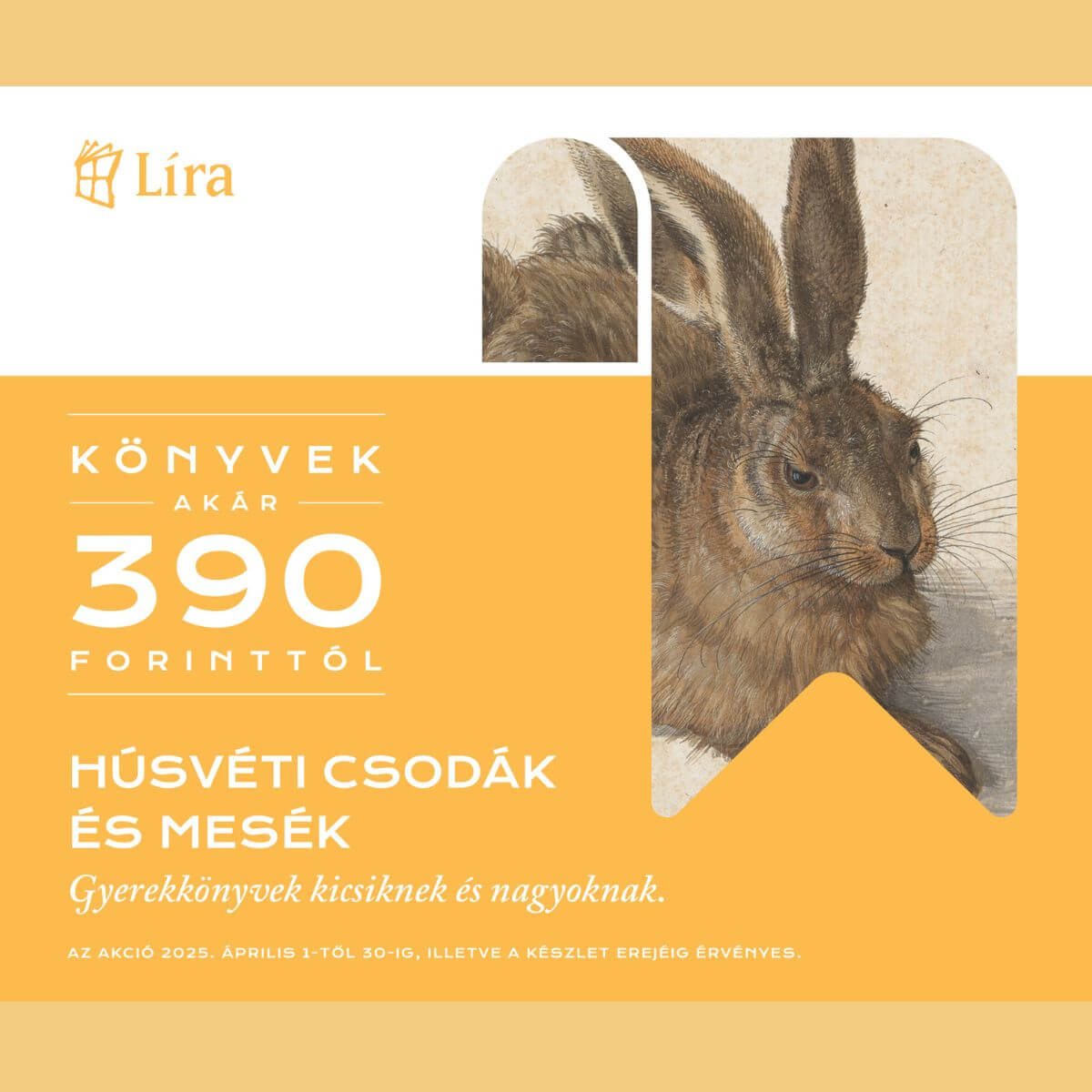 NEMZETKÖZI Másolata (9)