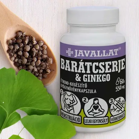 Baratcserje Et Ginkgo1.jpg