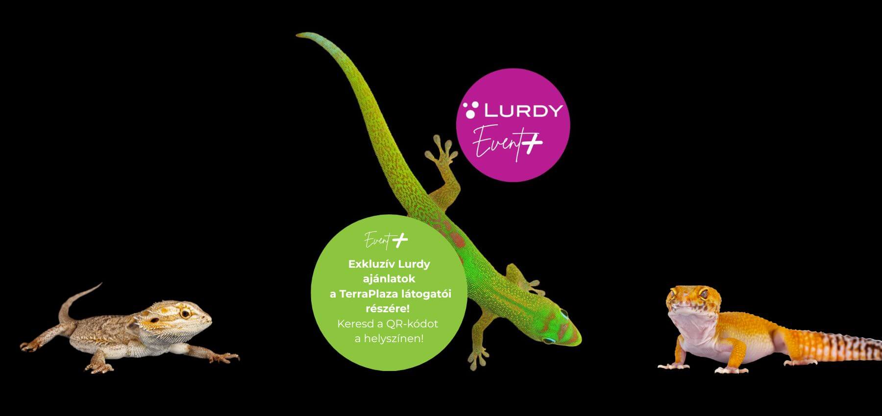 Lurdy Event Plus TerraPlaza Junius 22