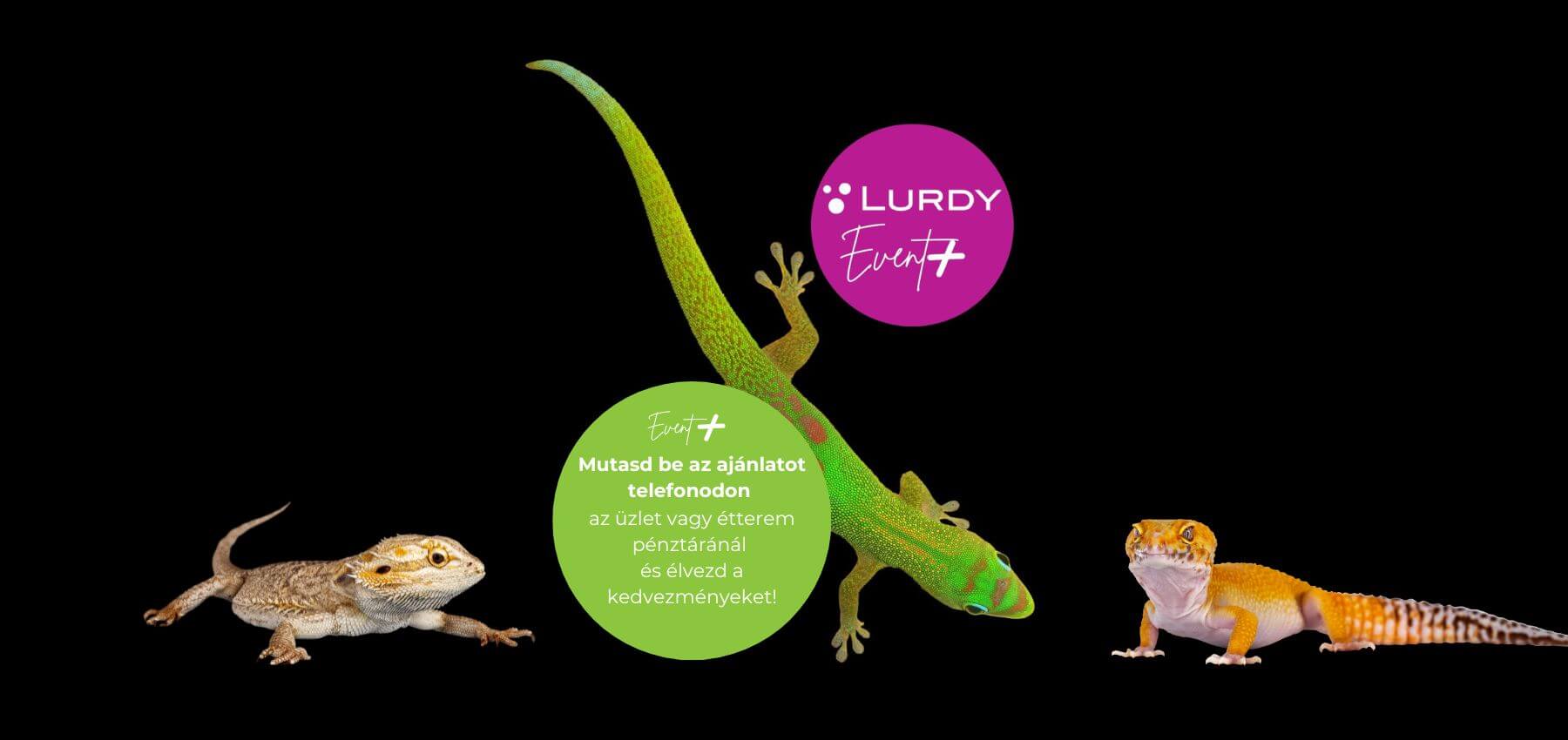 Lurdy Event+ TerraPLaza Beharangozo Juni 22