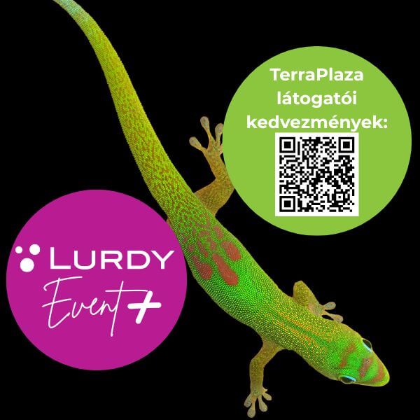Lurdy Event+ TerraPlaza 2025.06.22 600x600