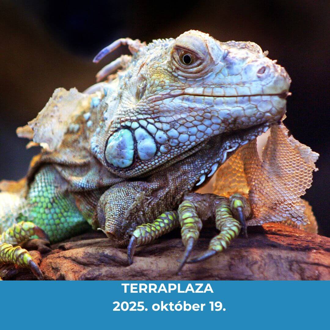 TERRAPLAZA 2025 Oktober