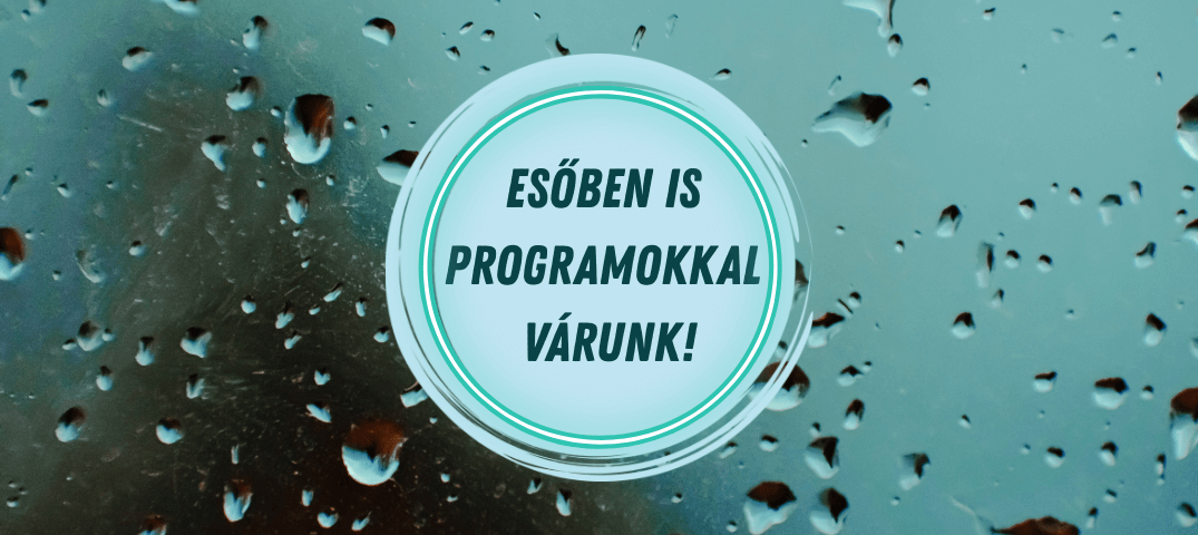 Esőben Is Vár A Lurdy (1)