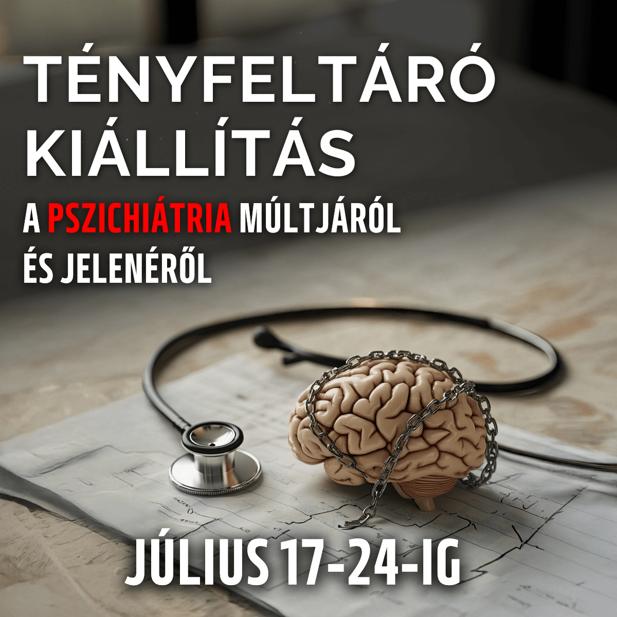Kiállítás Promó V3