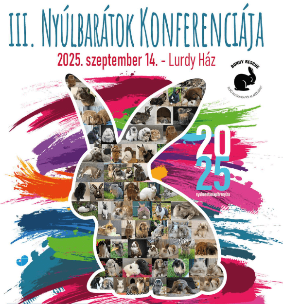 nyulbaratok konferenciaja lurdy
