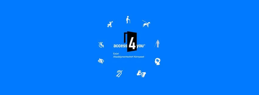 Access4you Ezüst Lurdy