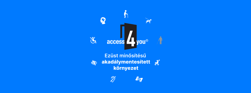 Access4you Ezust Lurdy 