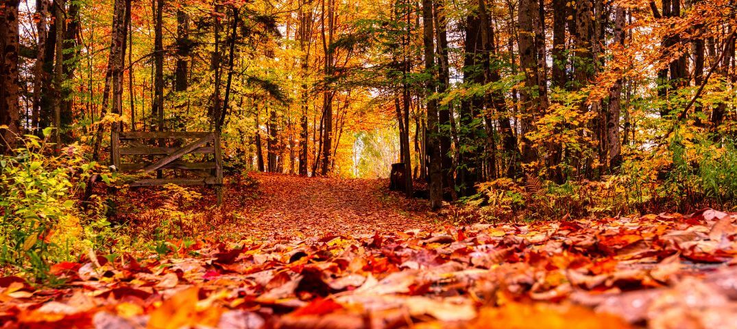 November 1 Mindenszentek Nyitatartas Lurdy