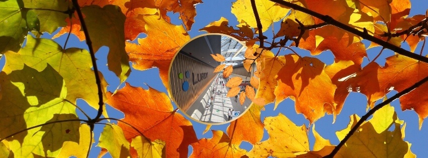 #ŐsszelisLurdy (Facebook Borító) (4)