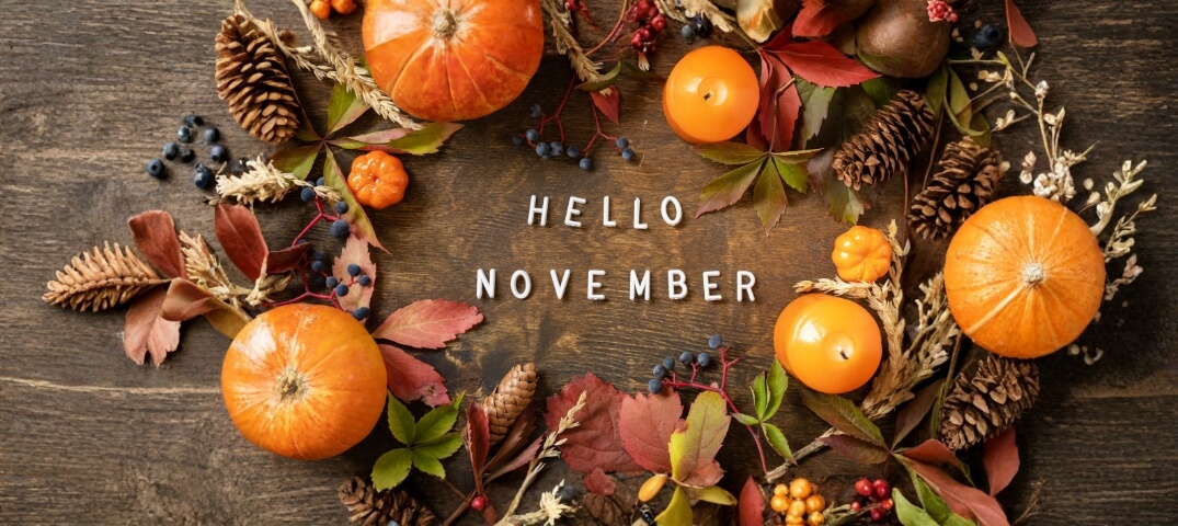 Hello November Lurdy Haz