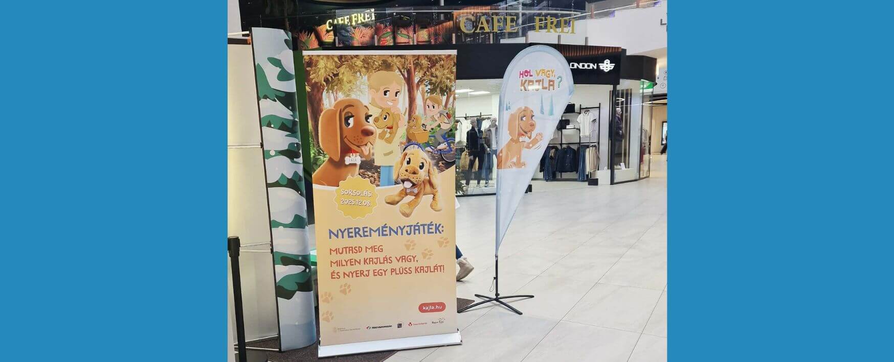 Hol Vagy Kajla Stand A Lurdy Hazban