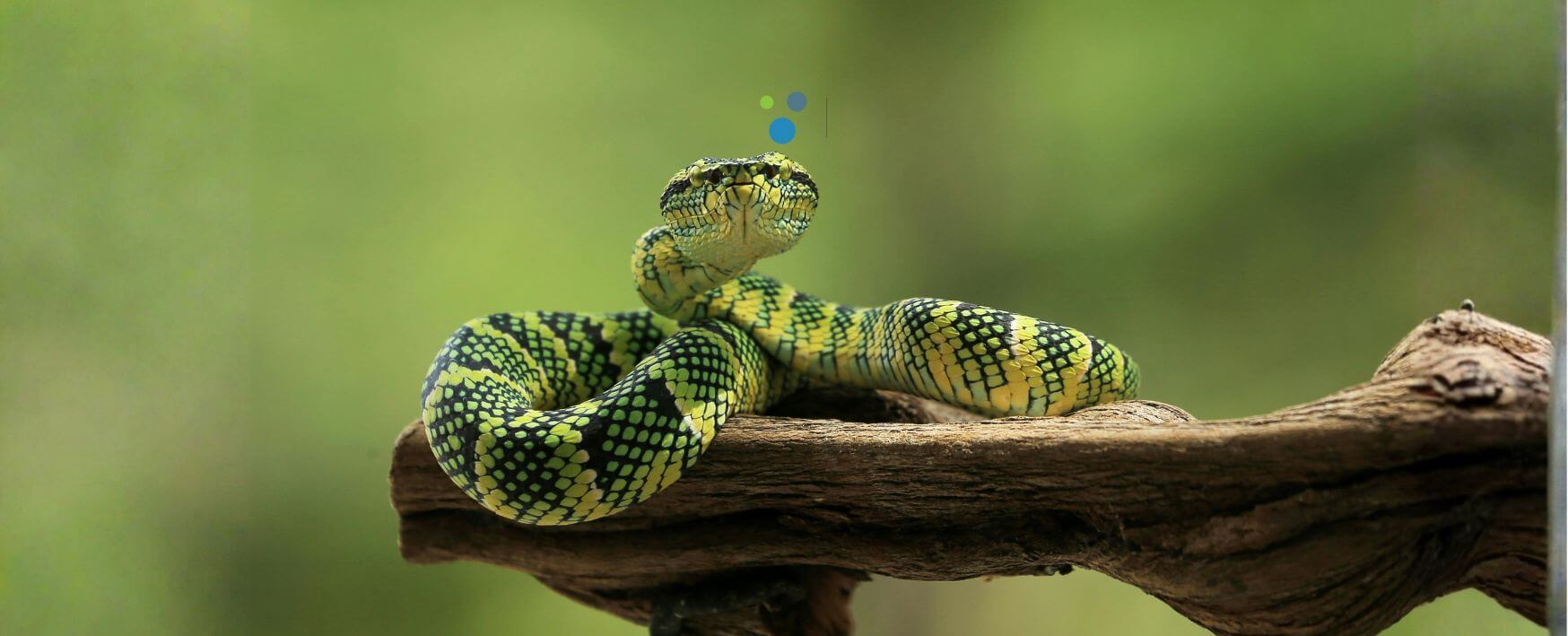 Terraplaza Februar 15. Lurdy Haz