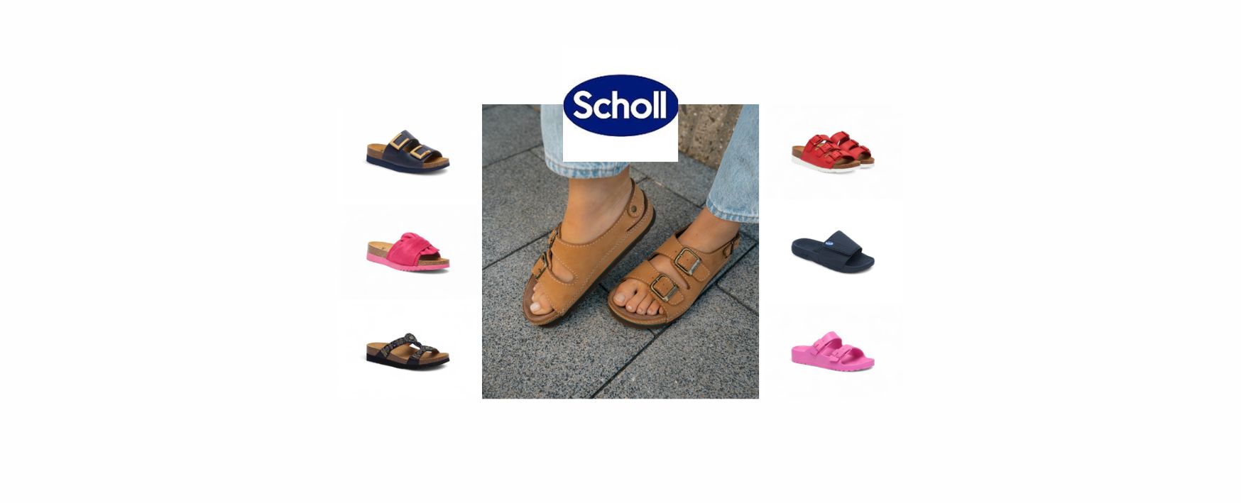 Gyógyüzlet Scholl Lurdy Ház Új