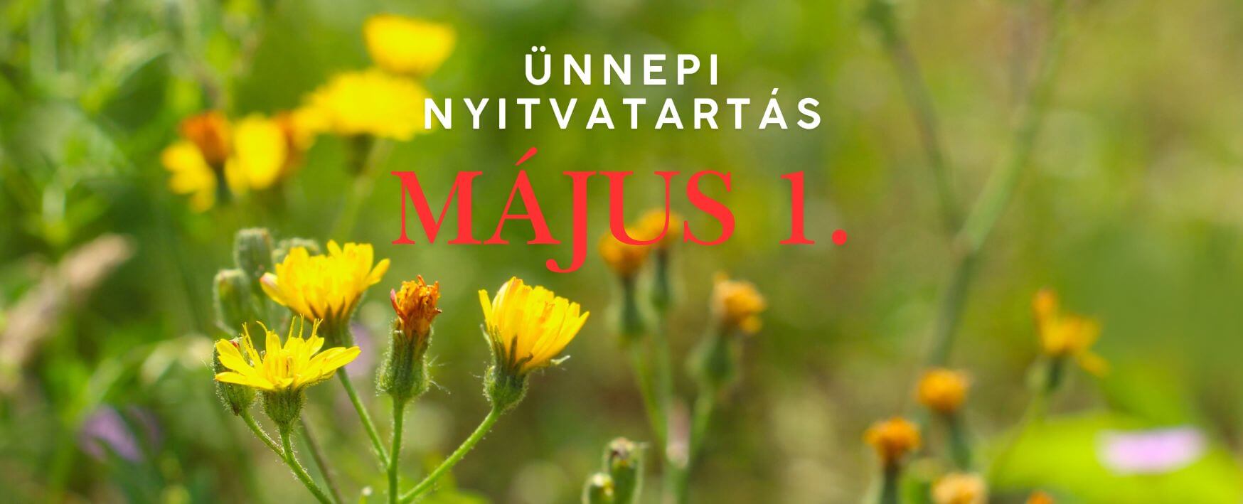 Ünnepi Nyitvatartás Lurdy Haz Majus 1. Péntek