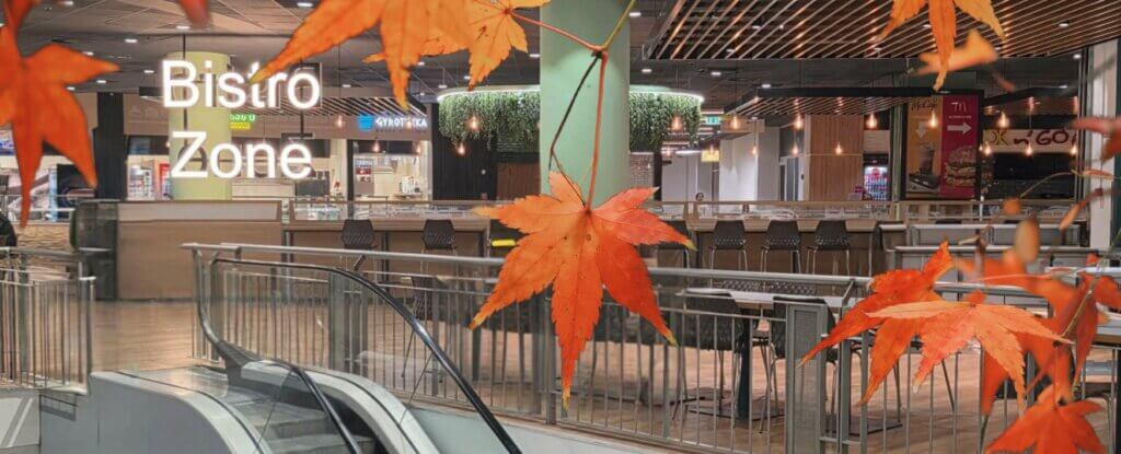 Bistro Zone Ősz